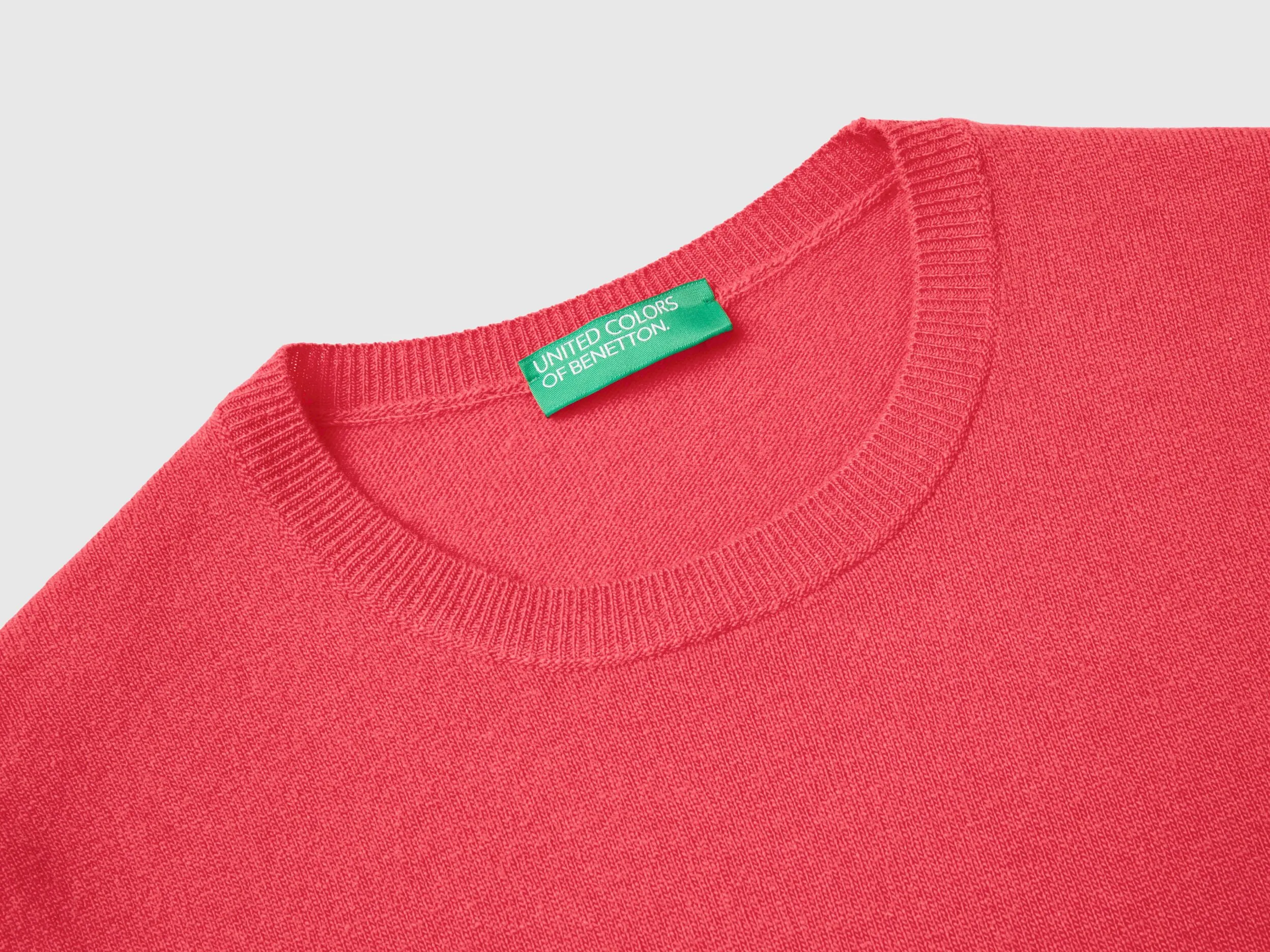 Fuchsia crew neck sweater in Merino wool - Fuchsia | Benetton