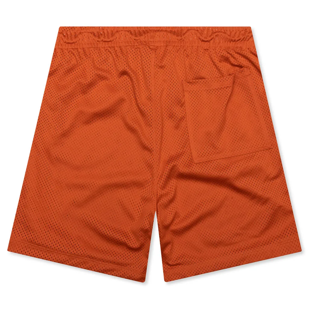 Jordan Flight Artist Series Mesh Shorts - Light Sienna/Phantom