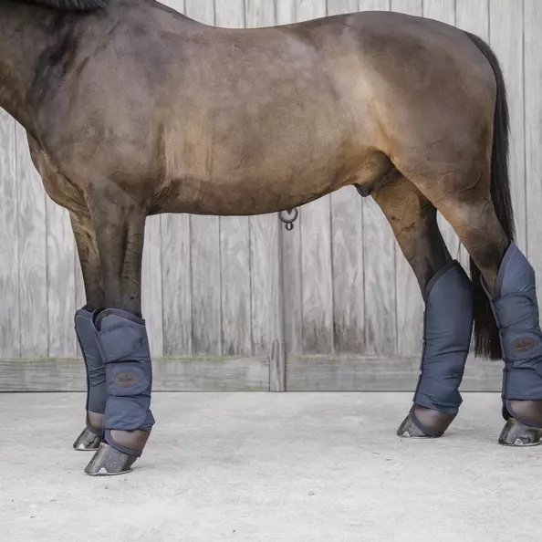 Kentucky Travel Boots - Navy