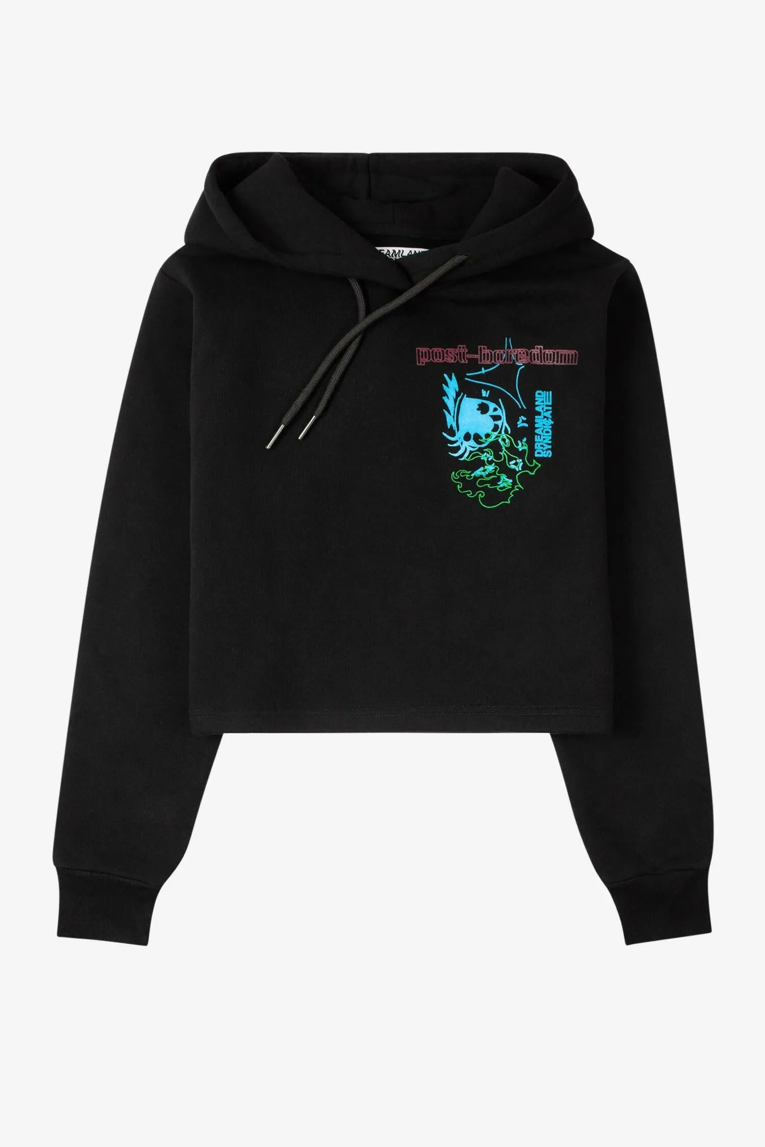 Reflection Cropped Hoodie